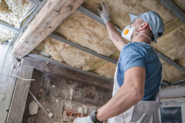 Best Attic Insulation Installation  in Melvindale, MI