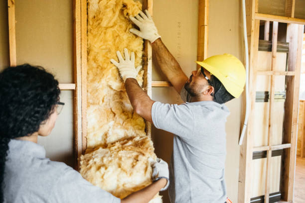 Best Cellulose Insulation  in Melvindale, MI