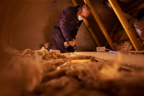 Best Local Insulation Services  in Melvindale, MI